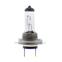 bqh7 BULB - 12V 55W H7